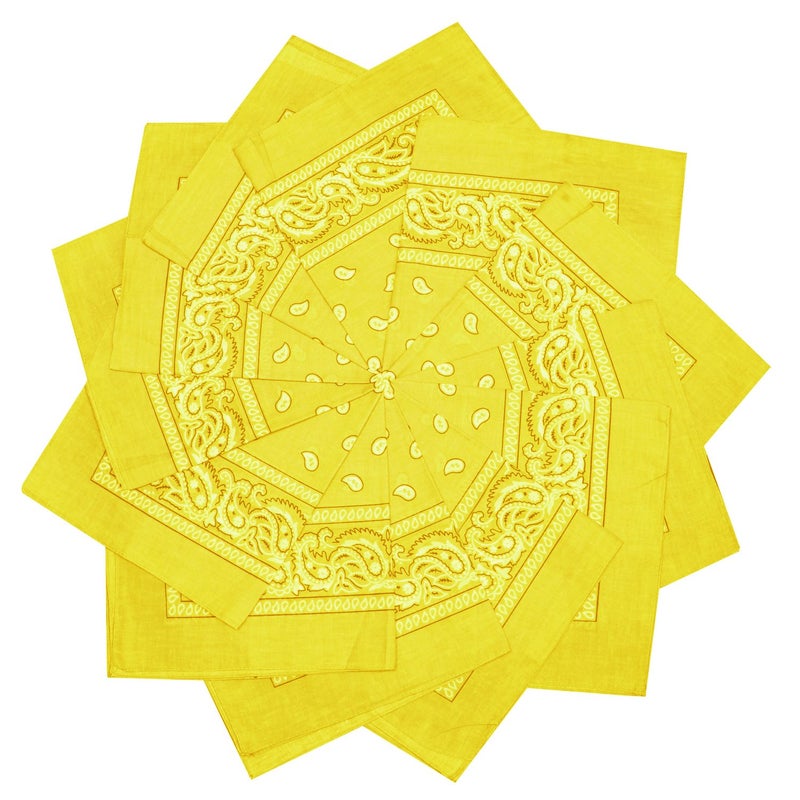 TZ Promise 12 Pack Bulk 100% Cotton Paisley Bandana Head Wrap Size 22 x 22 inches - Image 1